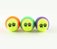 Outdoor Dog Training Ball Throw Toy