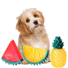 Pet Fruit  Chew Toy