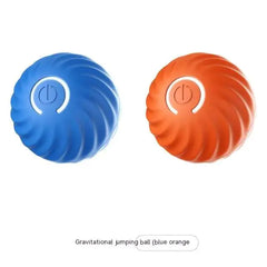 Auto Bouncing, Rolling Rubber Ball Toys For Dogs