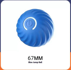 Auto Bouncing, Rolling Rubber Ball Toys For Dogs