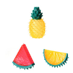 Pet Fruit  Chew Toy