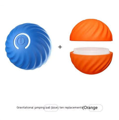 Auto Bouncing, Rolling Rubber Ball Toys For Dogs
