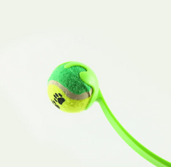Outdoor Dog Training Ball Throw Toy