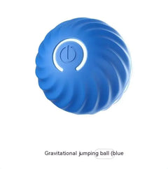 Auto Bouncing, Rolling Rubber Ball Toys For Dogs