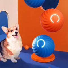 Auto Bouncing, Rolling Rubber Ball Toys For Dogs
