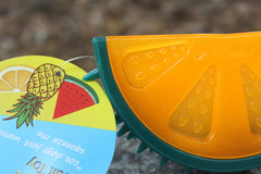 Pet Fruit  Chew Toy