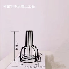 Nordic Style Iron Metal Vase for Hydroponic Decor