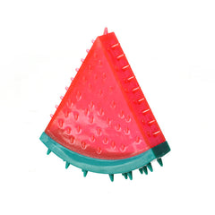 Pet Fruit  Chew Toy