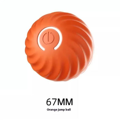 Auto Bouncing, Rolling Rubber Ball Toys For Dogs