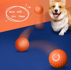 Auto Bouncing, Rolling Rubber Ball Toys For Dogs